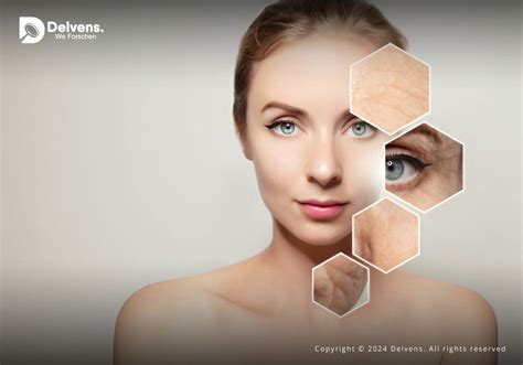 Rejuvenation Development Blog .